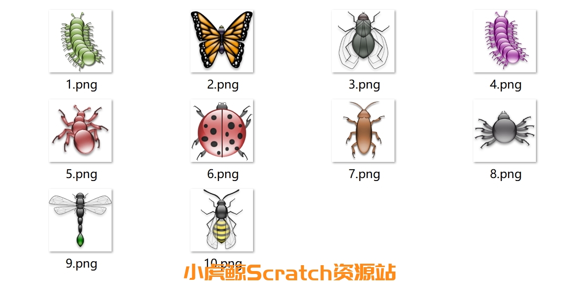 昆虫素材包